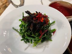 昭通椒丝油鸡枞麦瓜尖-泓0871臻选云南菜·味庄