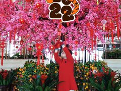 -青雅中餐厅(大连金石滩绿发希尔顿度假酒店)