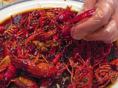 -杨氏青龙虾·羊蝎子(珠江路店)