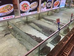 -百鱼庄(仙葫店)
