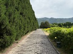 -陕拾叁-西安糕点(北院门创始店)