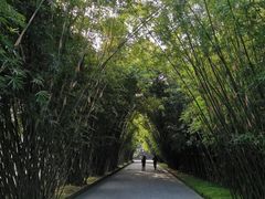 -望江楼公园