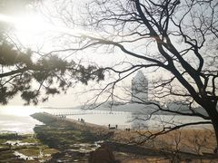 -八大关景区