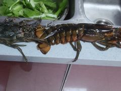 -盒马鲜生(宝地店)