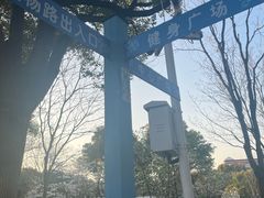 -金杨花园