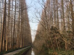 -上海怡沁园度假酒店