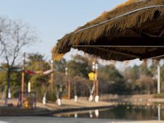 -上海佘山世茂艾美酒店