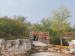 -北京西山国家森林公园