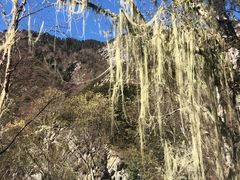 -叠溪松坪沟景区