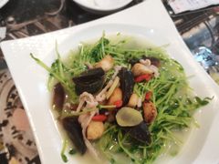 上汤豆苖-醉八仙农家乐酒楼(三乡店)