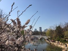 -大连植物园