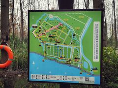 -合肥滨湖国家森林公园