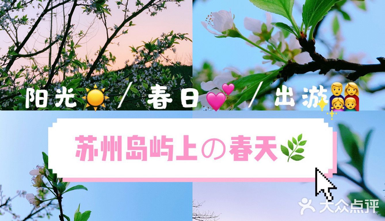 小众岛屿 |苏州洞庭西山🌈采茶的季节🍃