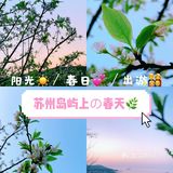 小众岛屿 |苏州洞庭西山🌈采茶的季节🍃