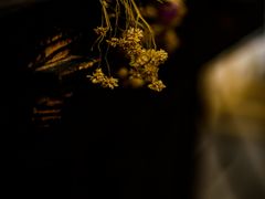 -ROSEONLY诺誓(国际广场购物中心店)