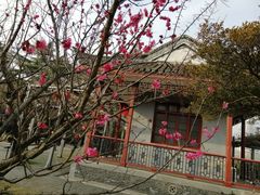 -南通博物苑-崇川人民公园