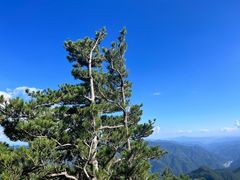 -牛背梁国家森林公园