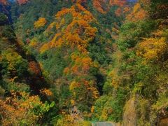 -光雾山旅游景区