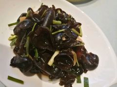 -老洋房花园饭店(绍兴路店)