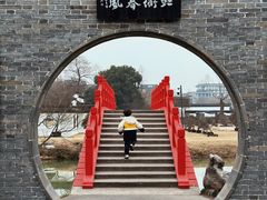 -盆景园(扬州大运河文化旅游度假区)