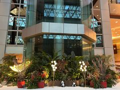 -上海新锦江大酒店