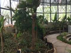 -武清南湖绿博园