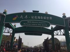 -荷兰花海