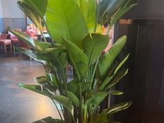 -华豫川酒家(双子塔店)