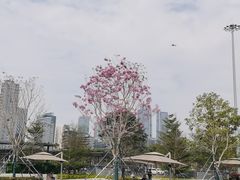 -深圳人才公园