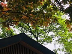 -万达影城(长沙婚庆公园中国巨幕店)