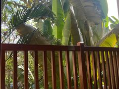 -碧桂园润杨溪谷温泉酒店