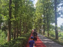 -上海长兴岛郊野公园