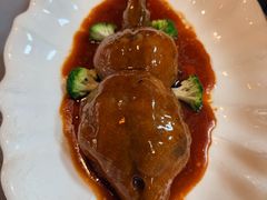-丁老爷子苏香圆