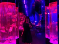 -成都浩海立方海洋公园