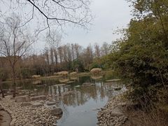 -新江湾城公园