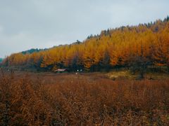 -丰都鬼城名山景区