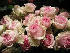 -谷莠子花艺·气球派对·绿植造景·花艺沙龙(金光华广场店)