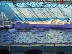 -秦皇岛乐岛海洋王国