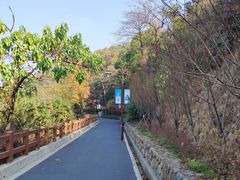 -杭州半山国家森林公园