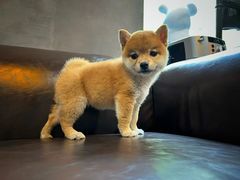 -宠颐生动物医院·小陆分院