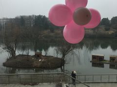 -仙林宾馆-餐厅