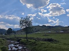 -芦芽山旅游度假区