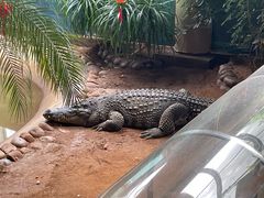 -西霞口神雕山野生动物世界