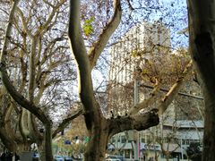 -锦江之星(南京新街口店)