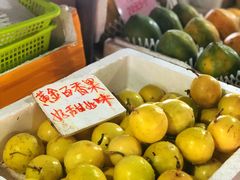 -大湾区中央湿地公园-十九涌