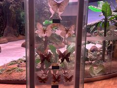 -陕西自然博物馆