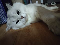 -赣江菜江西小炒