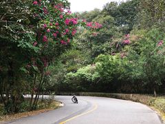 -红花湖景区