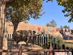 -济南野生动物世界