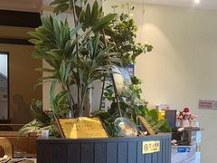 -老板娘的烤肉店(港湾广场店)